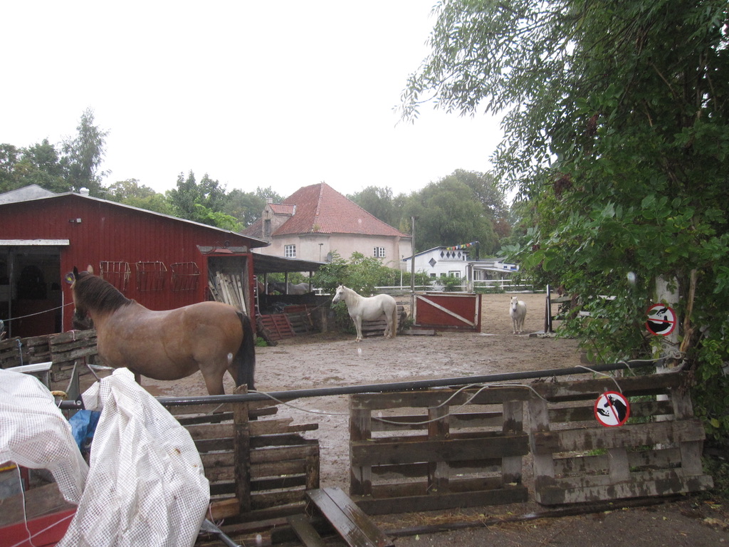 09.27.2024 – Video